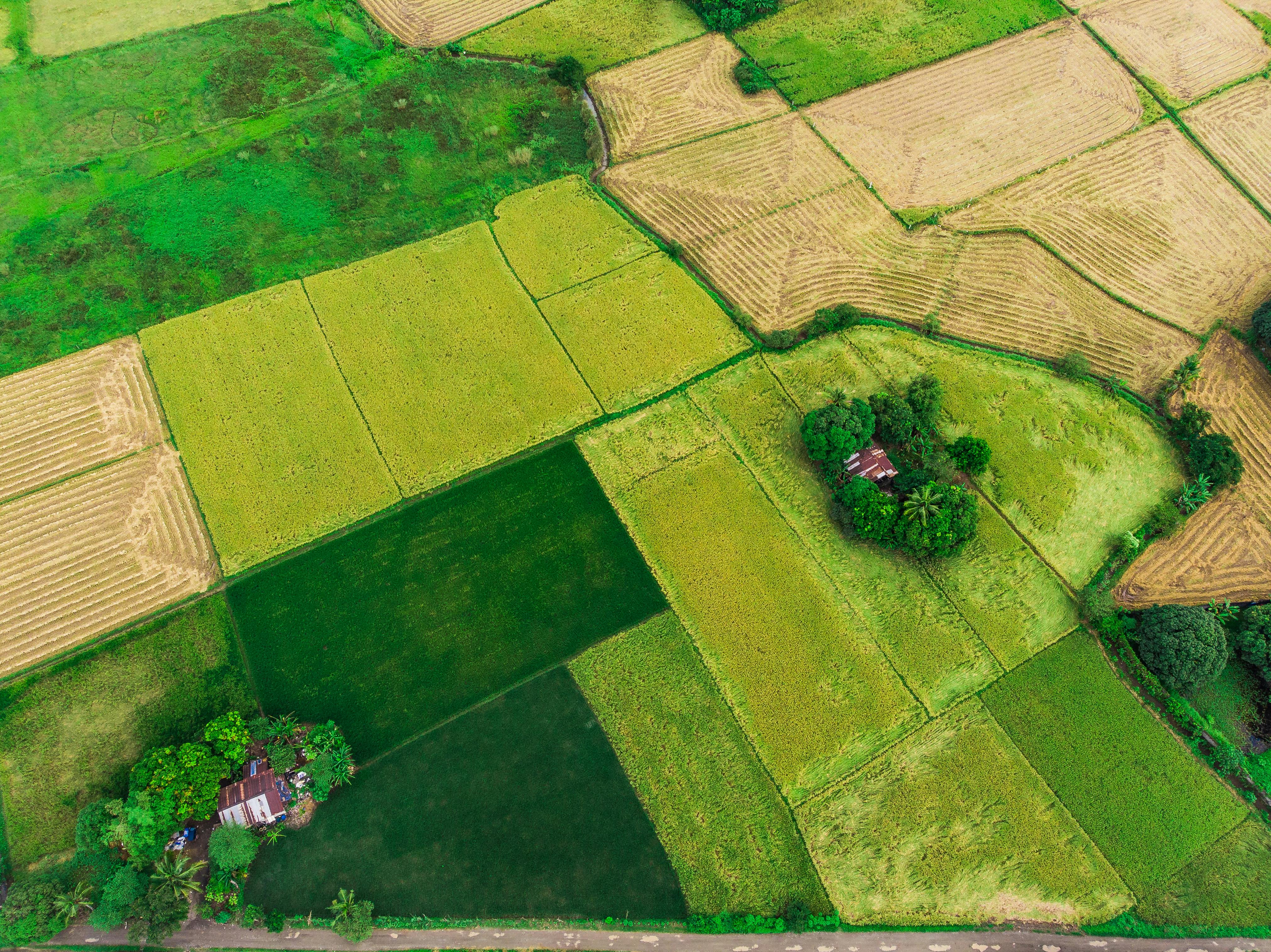 Malaysia's Industrial Real Estate Market Shows Strong Growth in 2026